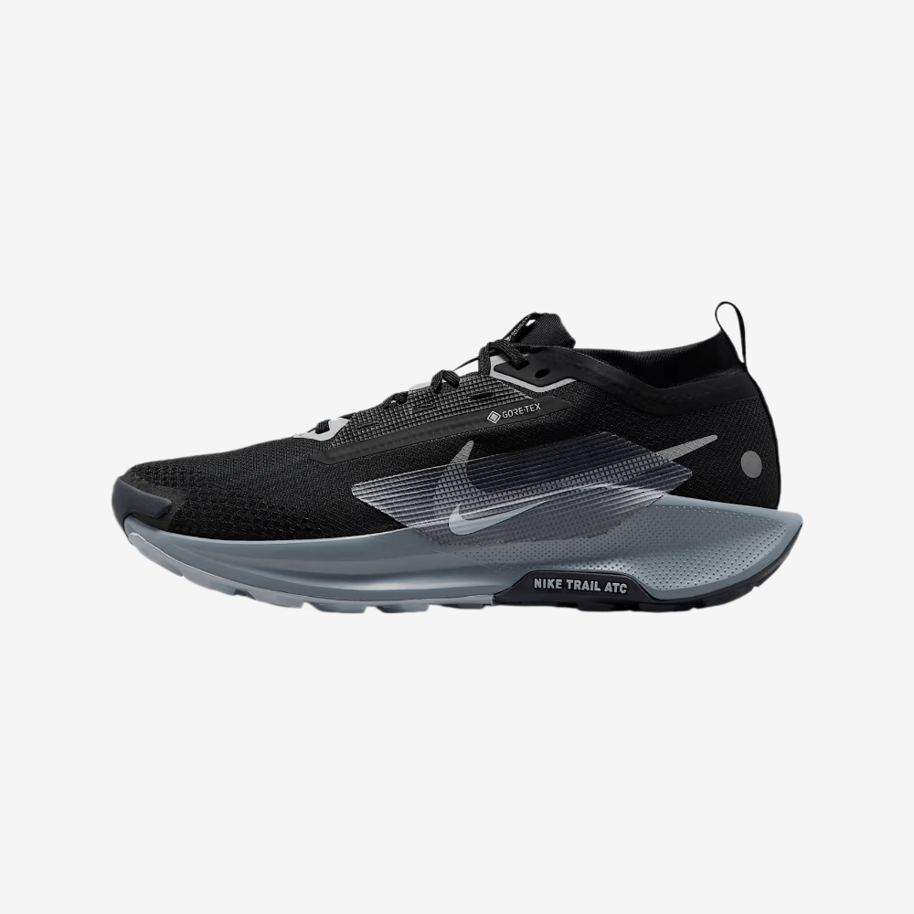 Nike Pegasus Trail 5 GORE-TEX Men's Trail Running Sneakers
