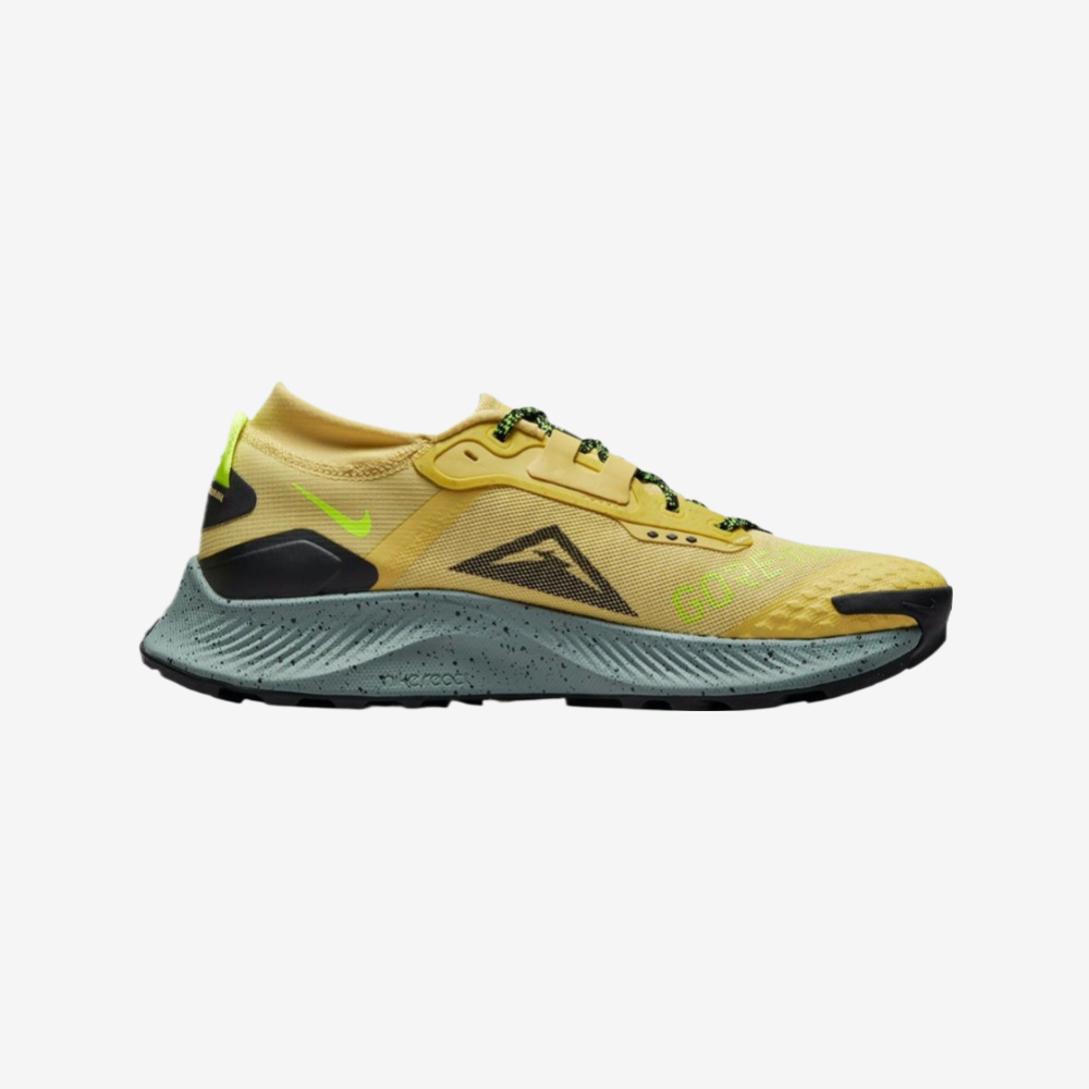 Nike Pegasus Trail 3 GORE-TEX Men's Waterproof Trail Running Shoes DC8793 300